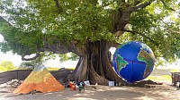 Globe terrestre arbre monde